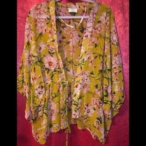 Fashion to figure kimono 2x
